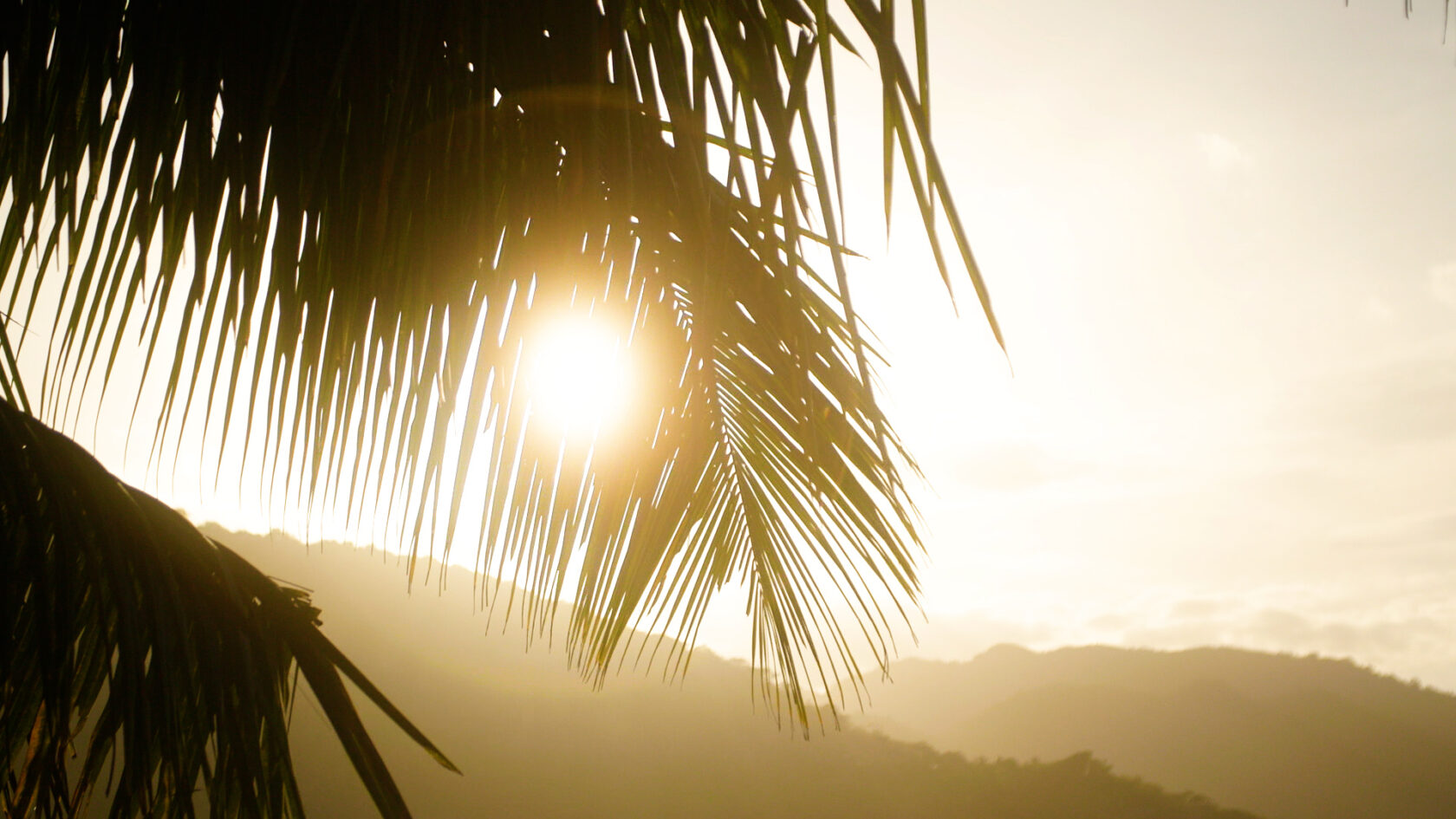 SAMANA_HEIST_PRORES_po kolorze.00_01_21_12.Still007