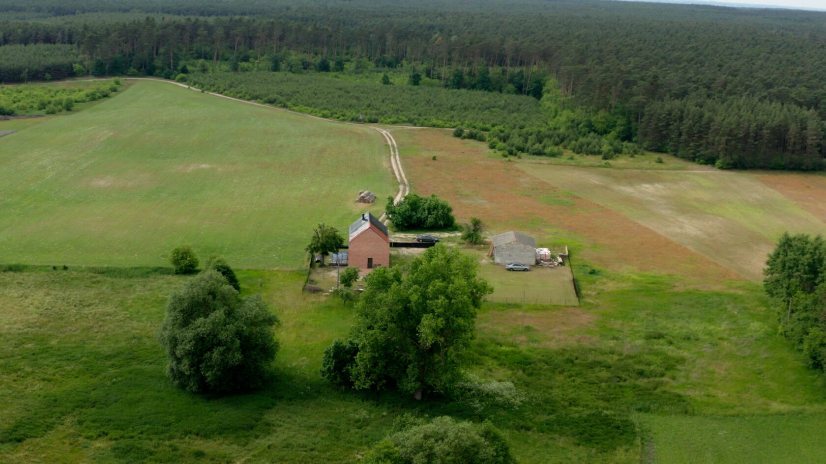 sunroof_poznan_bez napisow_tylko audio lektor.00_00_57_19.Still007