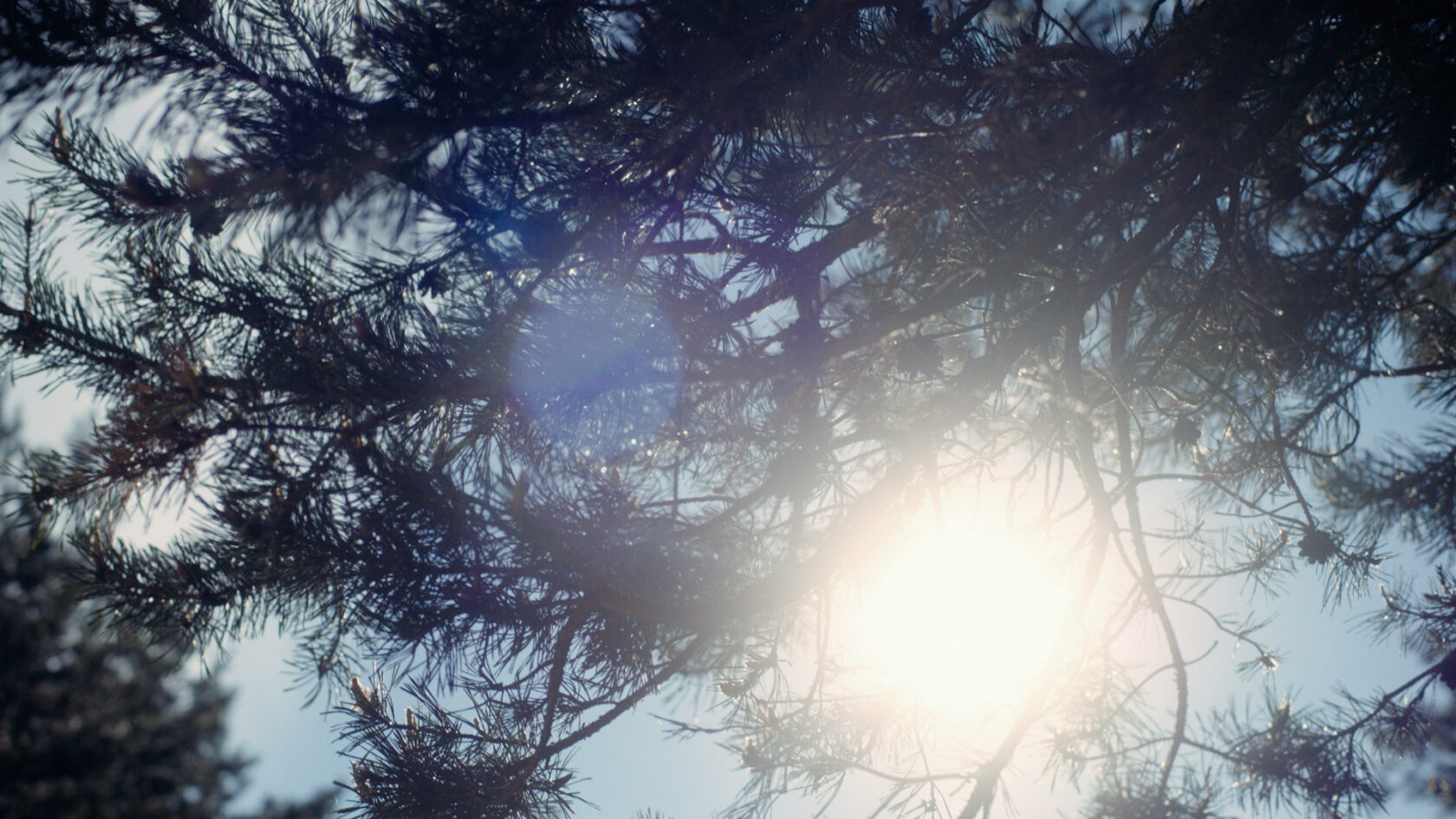 sunroof_poznan_bez napisow_tylko audio lektor.00_08_23_00.Still034