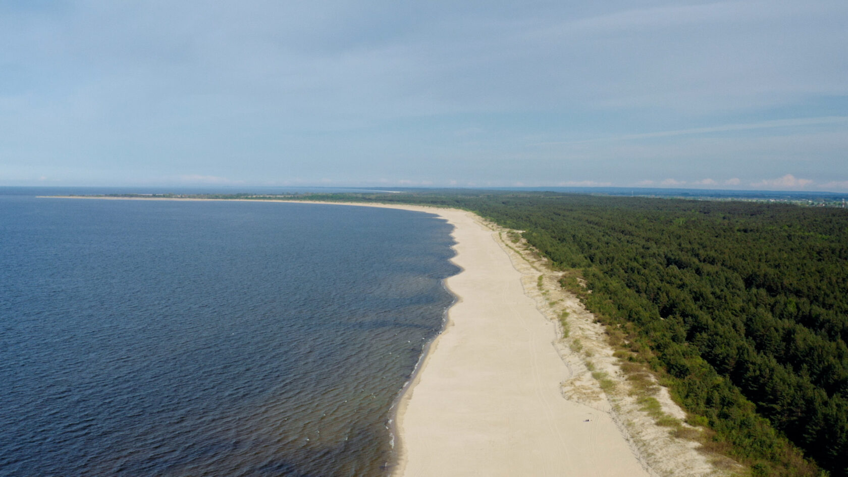 sunroof_poznan_bez napisow_tylko audio lektor.00_09_27_12.Still026