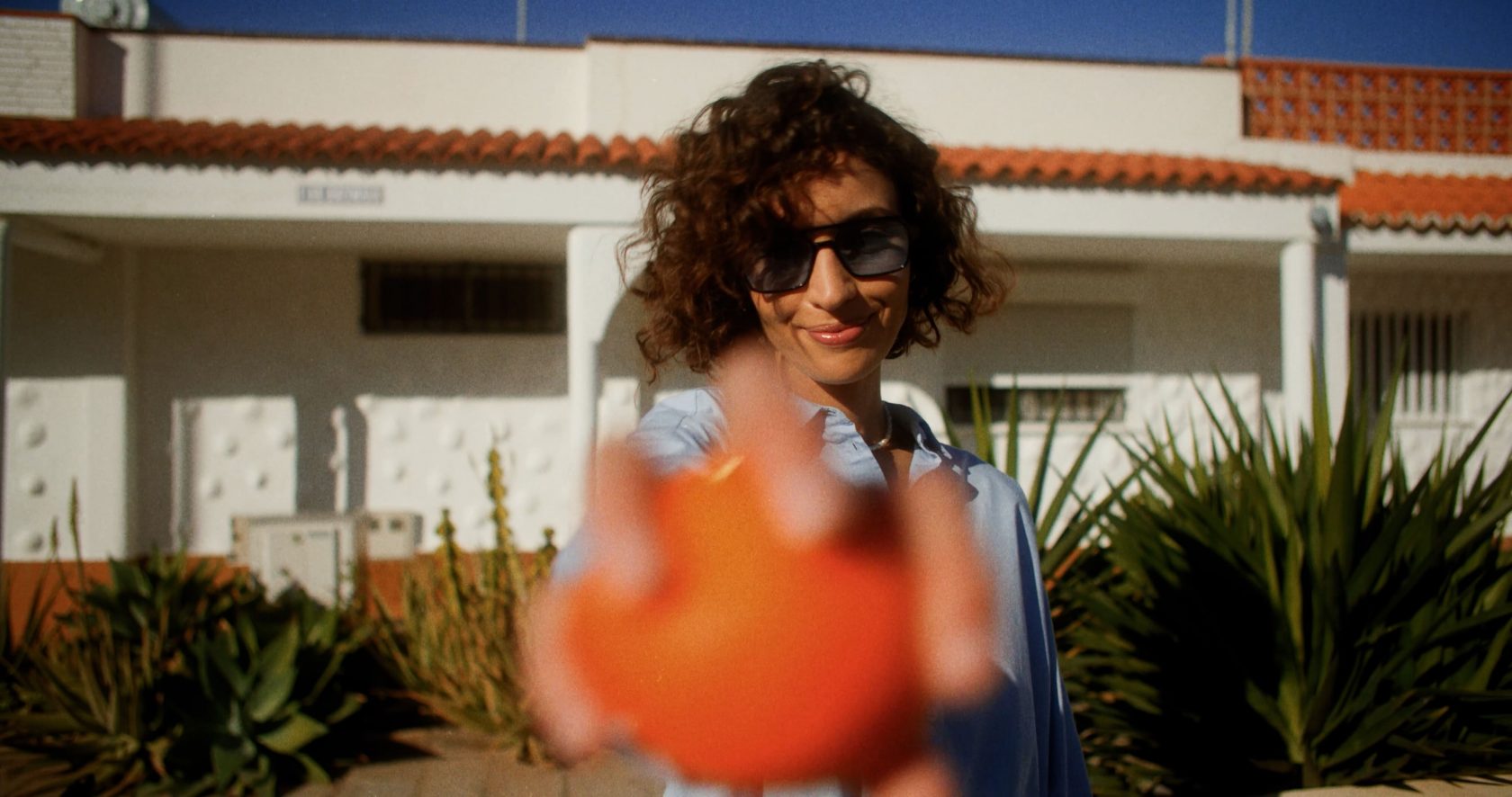 volcano_-_summer (Original).00_00_49_18.Still019